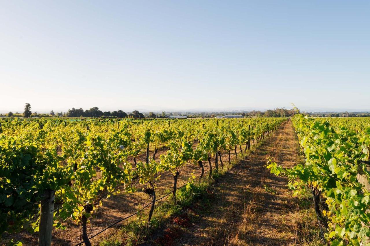 305 In The Vines Villa Хейвлок Норт Екстериор снимка